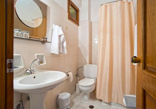特尔斐奥林匹克酒店的一间带水槽、卫生间和镜子的浴室