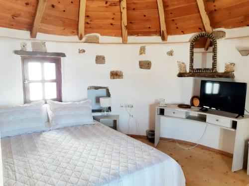 纳乌萨Fotilia Hotel的一间卧室设有一张床、一台电视和一个窗口。