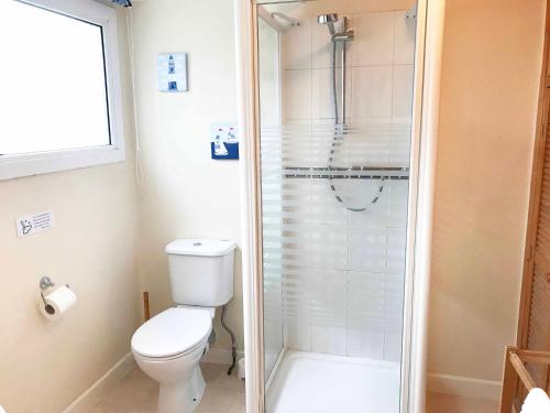 朴次茅斯Esk Vale Guest House的一间带卫生间和淋浴的小浴室