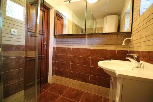 KrahuleChata u Mikiho Krahule的浴室配有盥洗盆和带镜子的淋浴