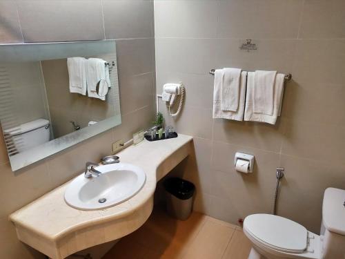 马尼拉金佰利马尼拉酒店的一间带水槽、卫生间和镜子的浴室