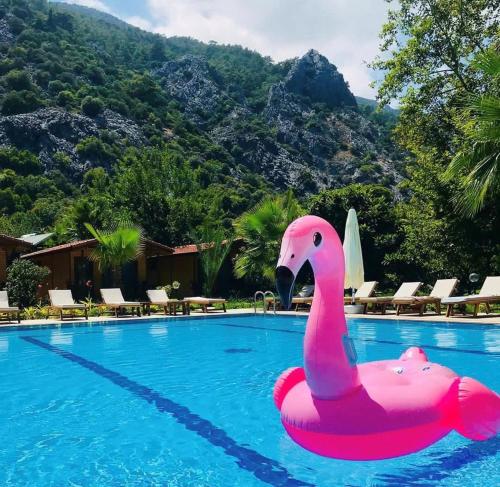 契拉勒Dolunay Apart Hotel的游泳池里漂浮着粉红色的火烈鸟