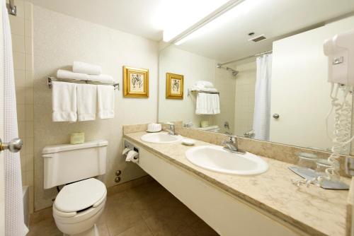 多伦多多伦多当谷套房酒店的一间带卫生间、水槽和镜子的浴室