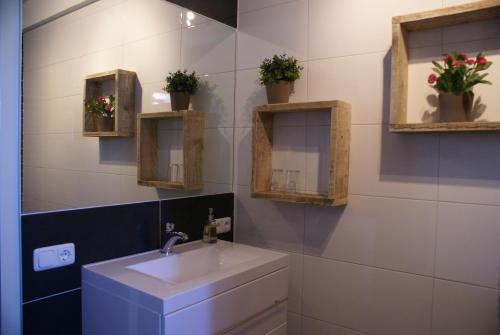 Gasteren加斯特恩住宿加早餐旅馆的浴室配有水槽,墙上挂着一些植物