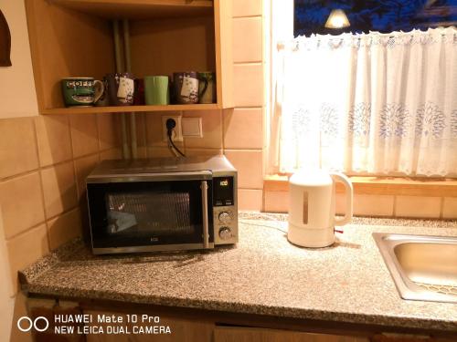 SihelnéChata pod pilskom的厨房的台面上有一个微波炉