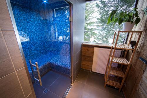 瓦尔莫雷尔Hôtel Spa L'Oxygène的带淋浴的浴室,带窗户和梯子