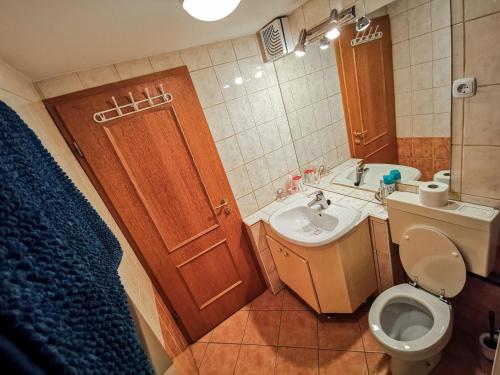 布莱德高山湖泊公寓的浴室配有卫生间、盥洗盆和淋浴。