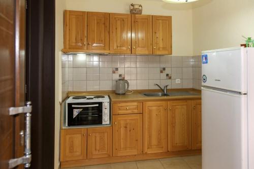 沃尔沃罗Maria - Pavlos Studios and Apartments的厨房配有木制橱柜和白色冰箱。