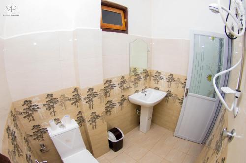 纳拉坦尼亚Tea Breeze Motel的一间带水槽和卫生间的浴室