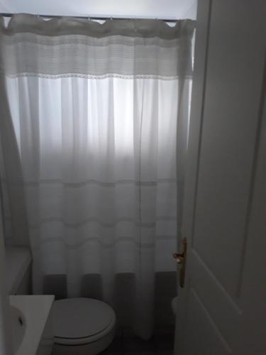 比亚里卡Condominio La Puntilla Km 2 Camino Villarrica Pucon的浴室设有卫生间和白色的淋浴帘