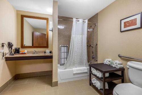 佩勒姆Comfort Suites Pelham Hoover I-65的带淋浴、卫生间和盥洗盆的浴室