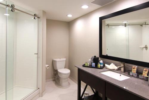 温泉城The Hotel Hot Springs的一间带卫生间、水槽和镜子的浴室