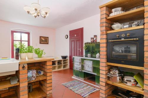 尼苏利采Rokitnica 37的客厅设有壁炉和电视。