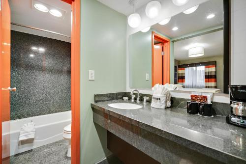 斯科茨3棕榈酒店的一间带水槽、卫生间和镜子的浴室