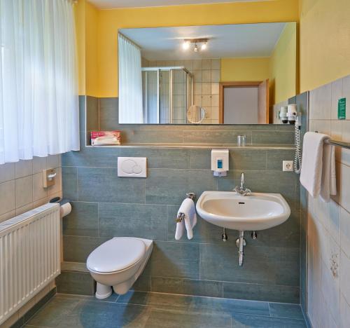 许特根瓦尔德Landhotel Kallbach - 4 Sterne SUPERIOR的一间带卫生间和水槽的浴室