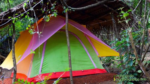 锡吉里亚Sigiri Jungle Camping的相册照片