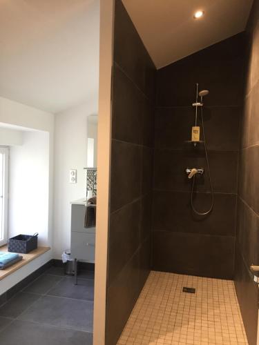 克卢尼Gîte des Charmilles /La Maison des Gardes的一间设有黑色墙壁淋浴的浴室