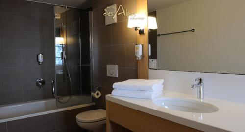 格施塔德Hotel des Alpes Superieur的一间带水槽、卫生间和镜子的浴室