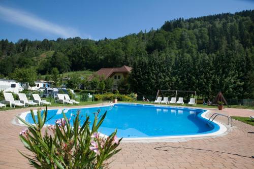 Sankt Peter am Kammersberg奥地利贝拉露营地信天翁移动房屋酒店的一个带椅子的游泳池和一个山