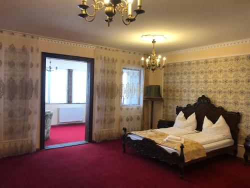 米尔茨楚施拉格Lambach Villa的一间卧室配有一张床和一个吊灯