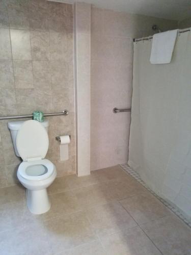 迈阿密皇家预算旅馆的一间带卫生间和淋浴的浴室