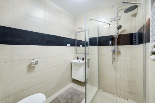 卢布林Apartamenty Wieniawa的带淋浴和卫生间的浴室