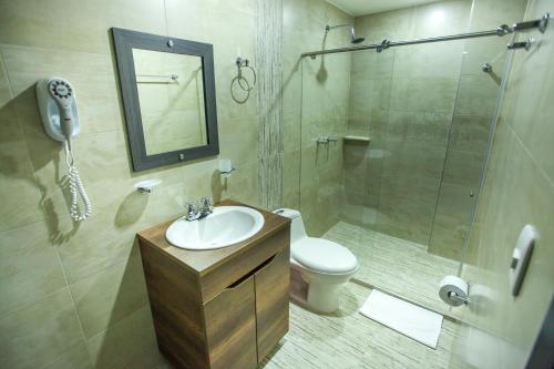 帕斯托Hotel San Blass Boutique的一间带水槽、淋浴和卫生间的浴室