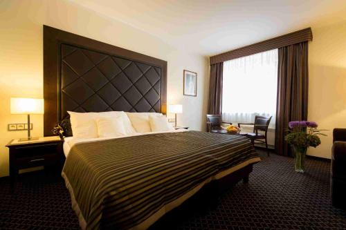 布拉格塞尔斯基王宫酒店的一间设有大床和窗户的酒店客房