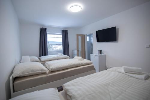 HoÅ¡Å¥kaApartmán Petra的客房设有三张床和一台平面电视。