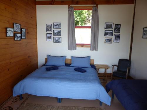 HectorThe Old Slaughterhouse Traveller's Lodge的一间卧室配有一张带蓝色床单的床和一扇窗户。