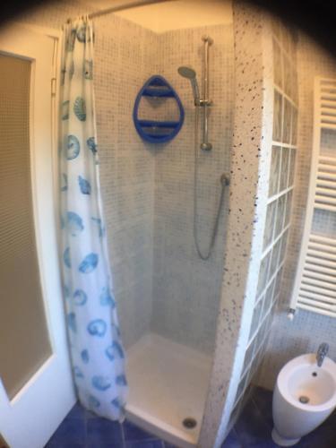 切齐纳码头Appartamento Acquamarina的浴室设有淋浴帘和卫生间。