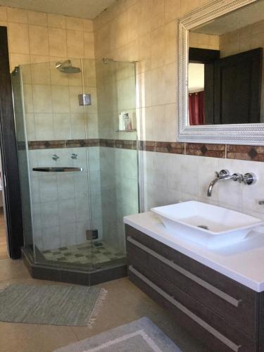 VoigtlandWindhoek Rural Self Catering的一间带水槽和淋浴的浴室