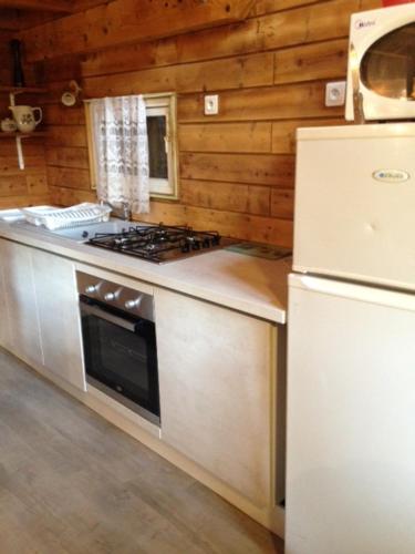 艾克塞恩维克斯Les Marmottes的厨房配有炉灶和冰箱。