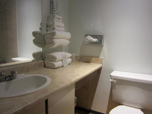 鲁珀特王子港莫比迪克酒店的浴室配有盥洗盆、卫生间和毛巾。