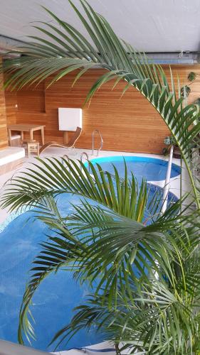 BerżoryAuksinė gervė的棕榈树,位于带游泳池的房间