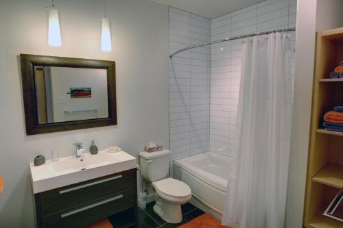 Vallée-JonctionSuite Marie-Thérèse的浴室配有卫生间、盥洗盆和淋浴。