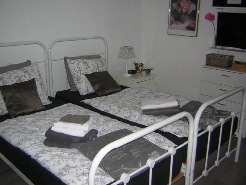 Sint PancrasPrive tuinhuis B&B Elly的卧室设有两张单人床和电视。