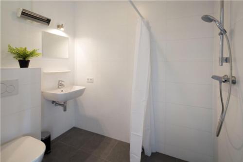 ChaamOnderlandhuis 38的浴室配有卫生间、盥洗盆和淋浴。