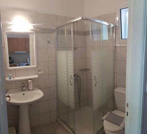 阿约斯尼奇塔斯Rania Apartments的带淋浴、盥洗盆和卫生间的浴室