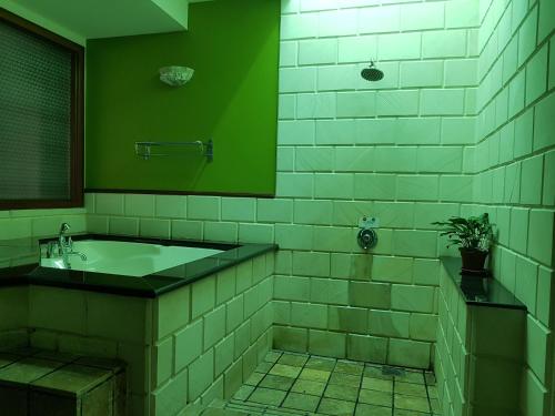 波德申Tokido Private Water Chalet PD的绿色浴室设有浴缸和水槽