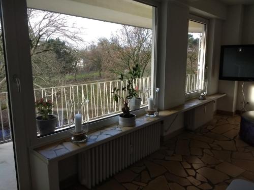 不莱梅Ferienwohnung Parkblick的客房设有2扇带盆栽的大窗户