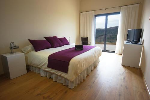 格拉塔略普斯Buil & Gine Wine Hotel的一间卧室配有一张带紫色枕头的床和一台电视。