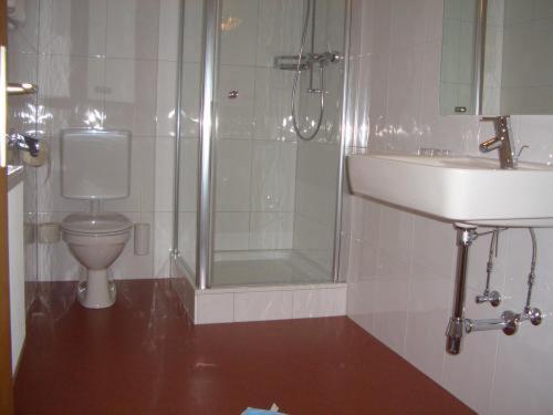 维克托尔斯博格兰德-&帕诺玛盖斯豪弗斯昂奥斯特酒店的浴室配有卫生间、淋浴和盥洗盆。