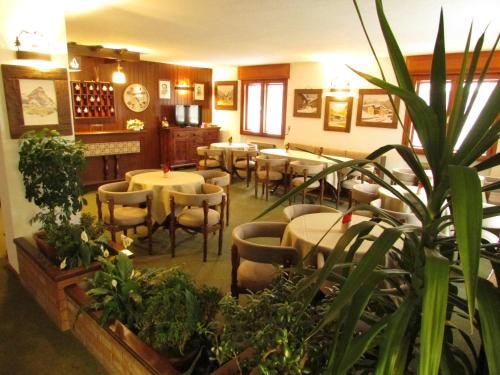 瓦托内切穆布雷伊莫里迪娜酒店的一间设有桌椅的餐厅,种植了植物