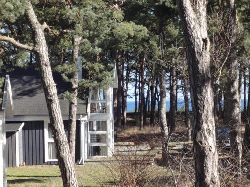 巴贝Ostsee Strandhaus Seerobbe的树林里带白色梯子的房子