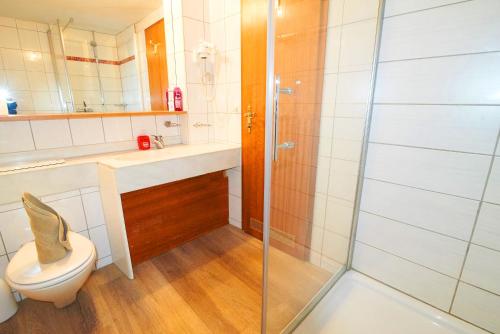 因特拉肯少女峰住宅公寓的一间带卫生间和玻璃淋浴间的浴室