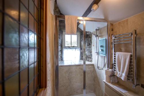 兰达西尔Penybanc Farm的带淋浴和玻璃淋浴间的浴室