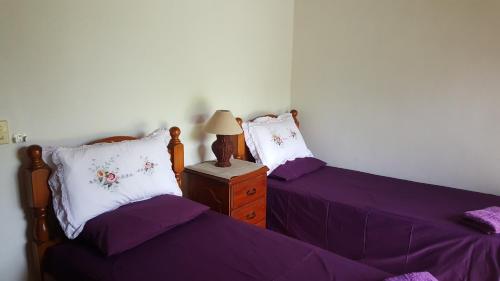 拉罗汤加Te Vaiora Villa的配有紫色床单和灯的客房内的两张床