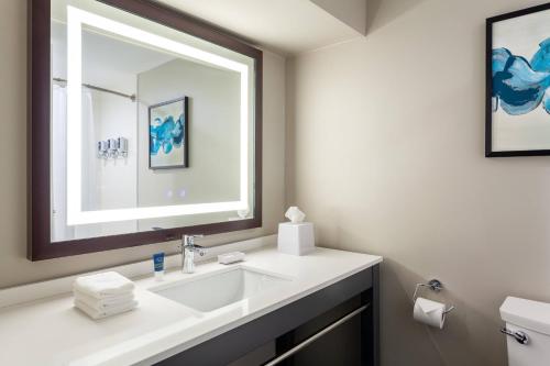 奥兰多Four Points by Sheraton Orlando Convention Center的一间带水槽和镜子的浴室