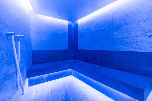 索尔登奥特凯撒酒店的蓝色的浴室设有浴缸和淋浴。